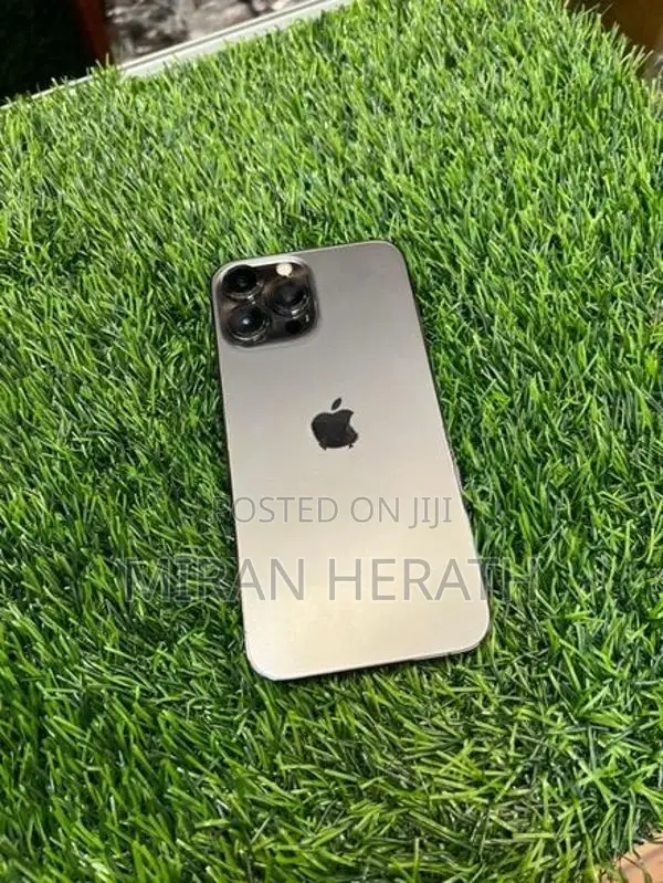 Apple iPhone 13 Pro Max (Used)