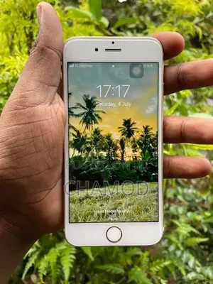 Apple iPhone 6S (Used)