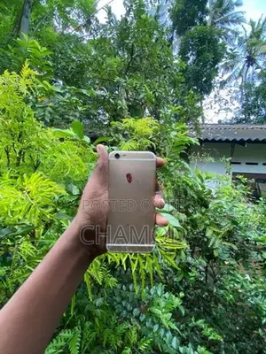 Apple iPhone 6S (Used)
