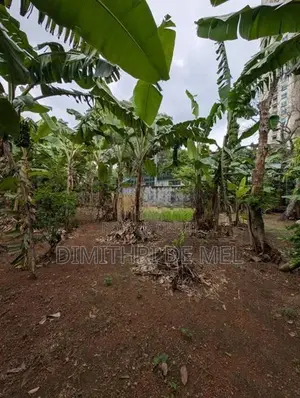 Residential Land for Sale - Rajagiriya