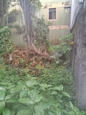 Land for Sale Mount Lavinia