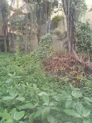 Land for Sale Mount Lavinia