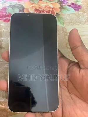 Apple iPhone 13 Pro Max (Used)