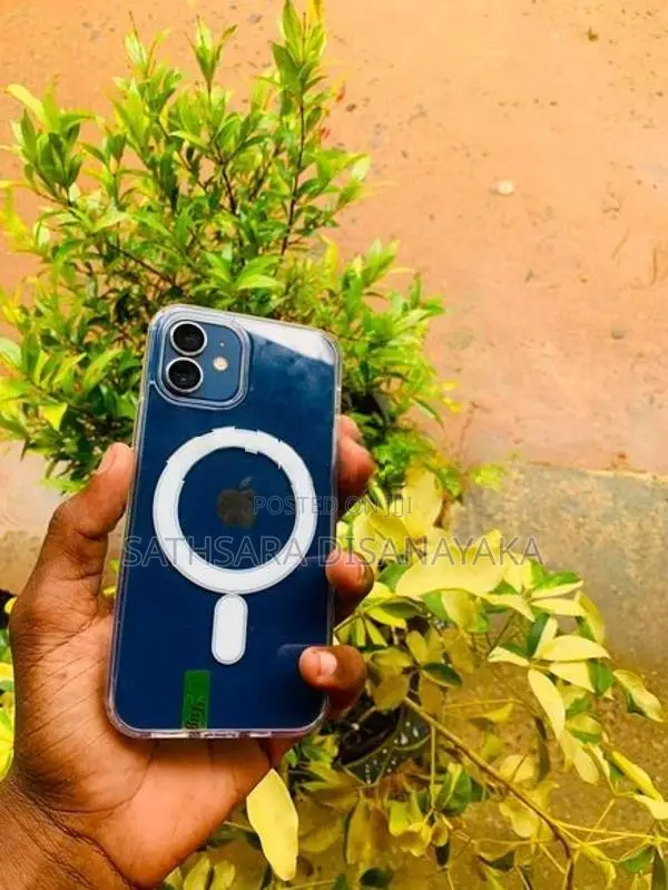 Apple iPhone 12 (Used)