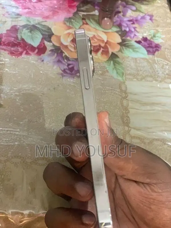 Apple iPhone 13 Pro Max (Used)