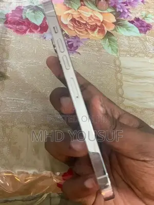 Apple iPhone 13 Pro Max (Used)