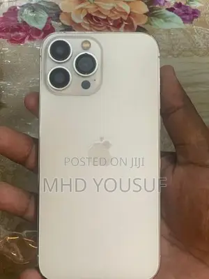 Apple iPhone 13 Pro Max (Used)