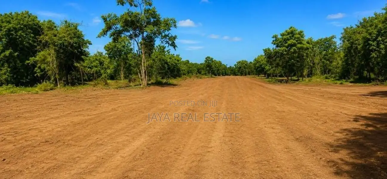 Land Plots Near To Turtle Beach තංගල්ල රැකව