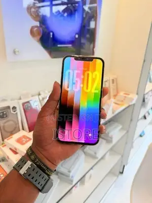 Apple iPhone 12 Pro Max 256GB (Used)