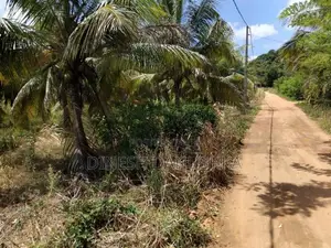 Land for Sale in Dambulla