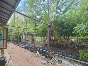 House with Land for Sale Matale