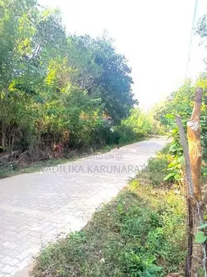 Land for Sale Kataragama
