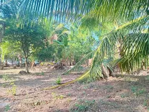 Land for Sale Kataragama