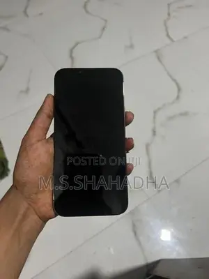 Apple iPhone 13 Pro Max (Used)