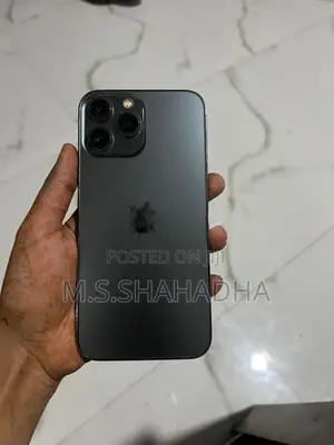 Apple iPhone 13 Pro Max (Used)