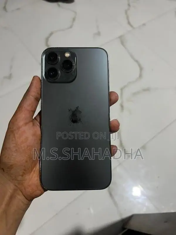 Apple iPhone 13 Pro Max (Used)