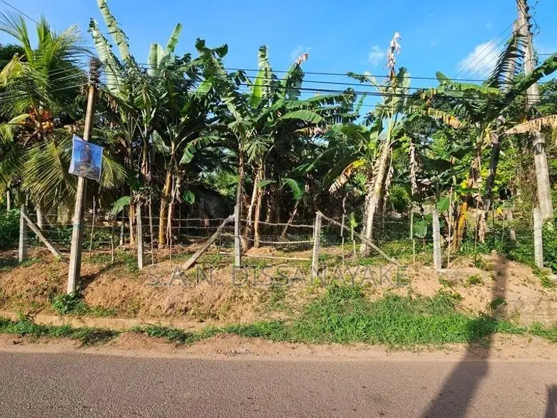 Land for Sale in Gampaha
