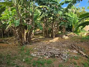 Land for Sale in Gampaha