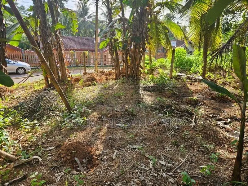 Land for Sale in Gampaha