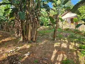 Land for Sale in Gampaha