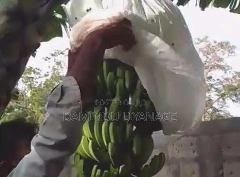 සින්නක්කර ඉඩම කැකිරාව - කාගම