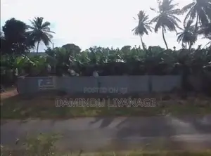 සින්නක්කර ඉඩම කැකිරාව - කාගම