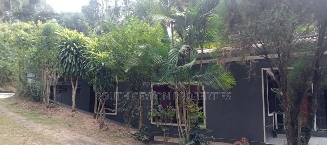 Weligama 120 ක අගනා නිවසක් විකිණීමට ඇත - සංචාරක ව්‍යාපාරයකට කදිමයි!