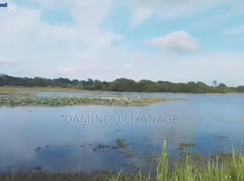 සින්නක්කර ඉඩම කැකිරාව - කාගම