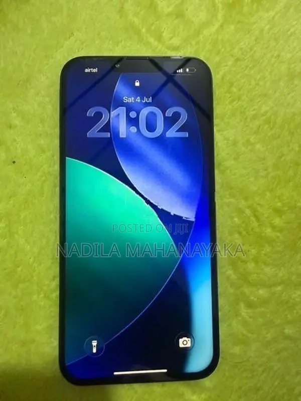Apple iPhone 13 Pro Max (Used)