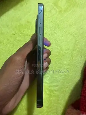 Apple iPhone 13 Pro Max (Used)