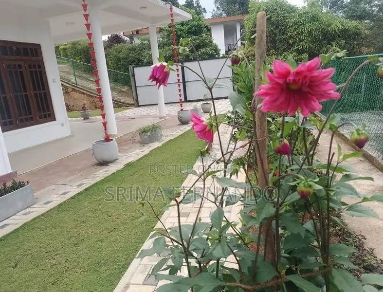 Rent a House in Diyathalawa