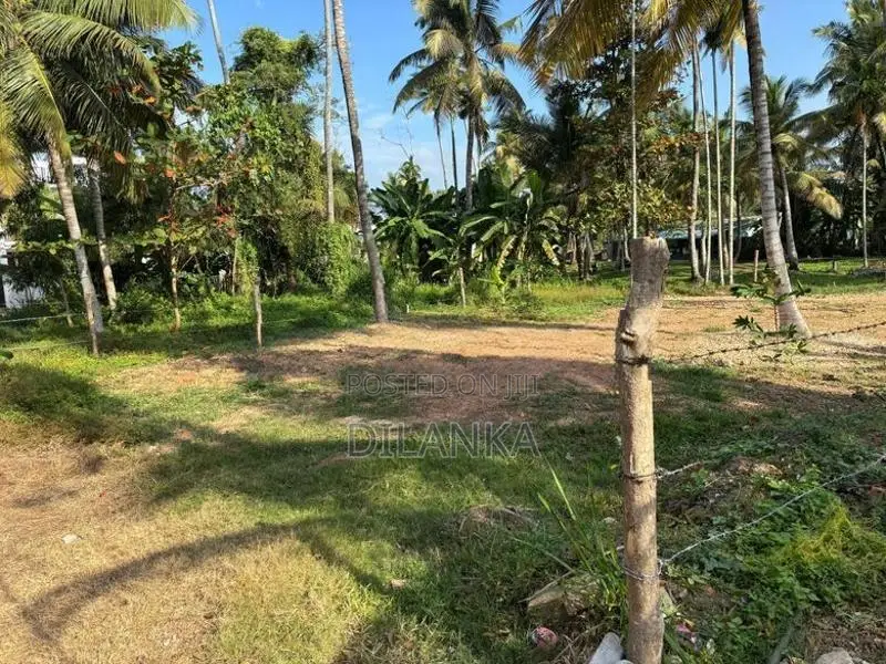 Residential Land for Sale in Kapuwatta -Ja Ela