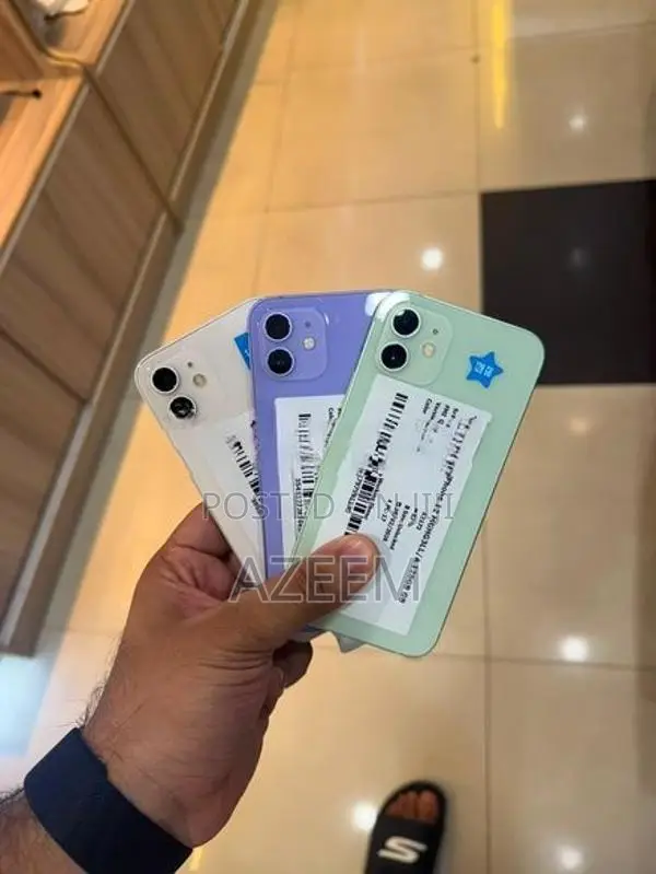 Apple iPhone 12 (Used)