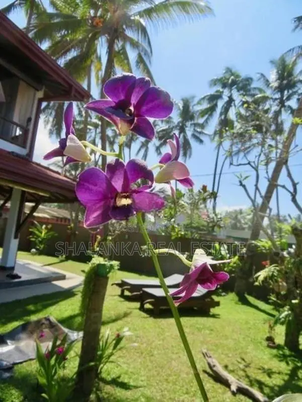 Beach View 3 Story Villa for Sale in Beruwala Sri Lanka