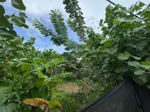 Super Land for Sale in Rajagiriya Ds30725