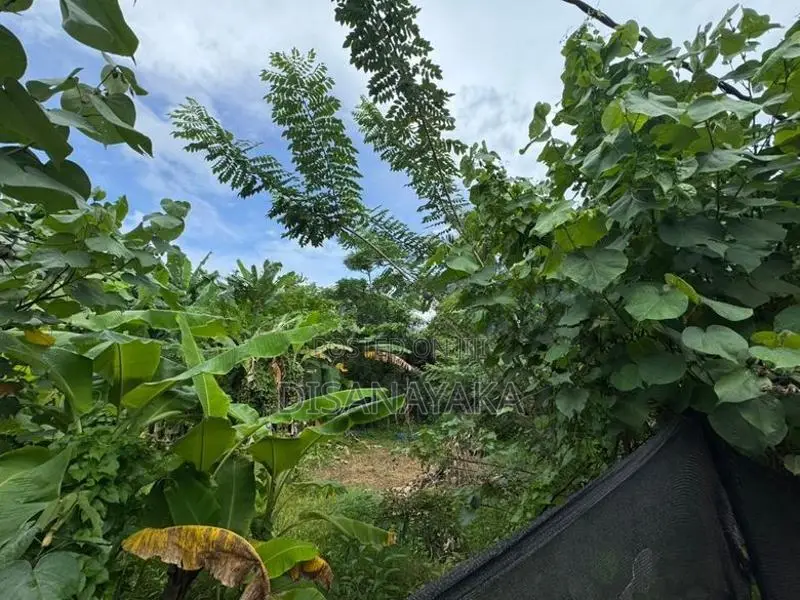 Super Land for Sale in Rajagiriya Ds30725