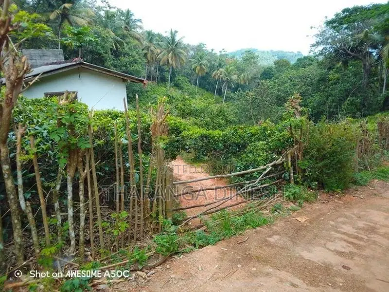 Tea Land For Sale in Mawanella
