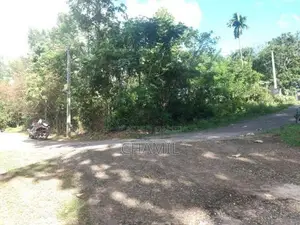 පිළියන්දල නගරයට ආසන්නව වටිනා ඉඩම විකිණීමට