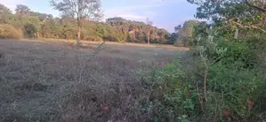 Land for Sale Uttuppulam