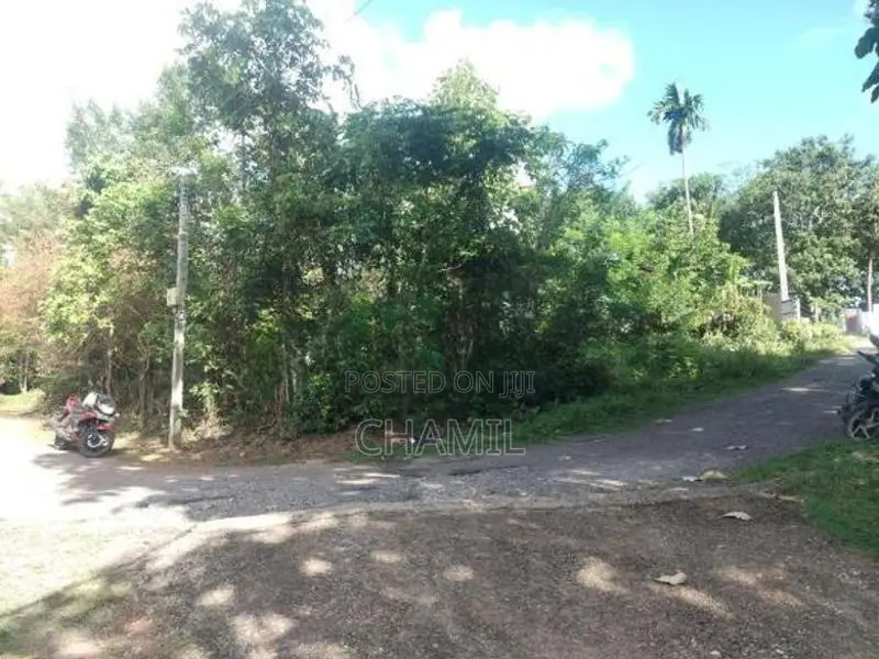 පිළියන්දල නගරයට ආසන්නව වටිනා ඉඩම විකිණීමට