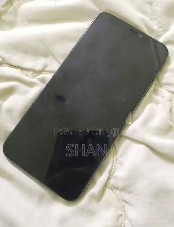 Apple iPhone XS 256GB (Used)