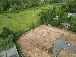 හයිලවෙල් ප්‍රධාන බස්පාරට 350M විකිණීමට අගනා බිම් කොටස්