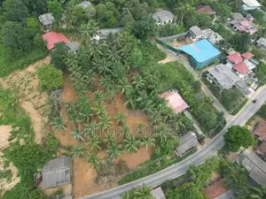 හංවැල්ල බස් පාරෙන්ම වටිනා ඉඩමක් විකිණීමට ඇත