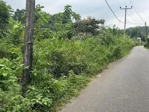 Land in Peradeniya