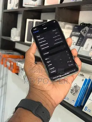 Apple iPhone 11 Pro Max 256Gb (Used)