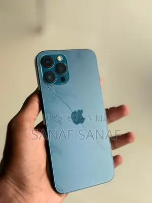 Apple iPhone 12 Pro Max (Used)