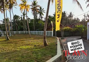මාතර ප්‍රධාන පාසල් සීමාවෙන් බිම් කොටස්...