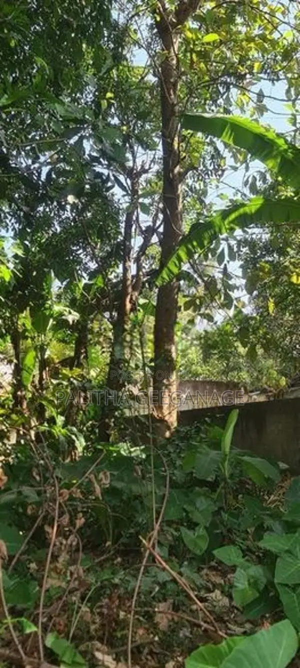 20-Perch Land - 1.4 Km from Kadawatha Highway
