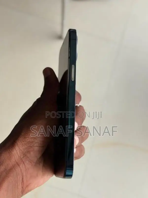 Apple iPhone 12 Pro Max (Used)
