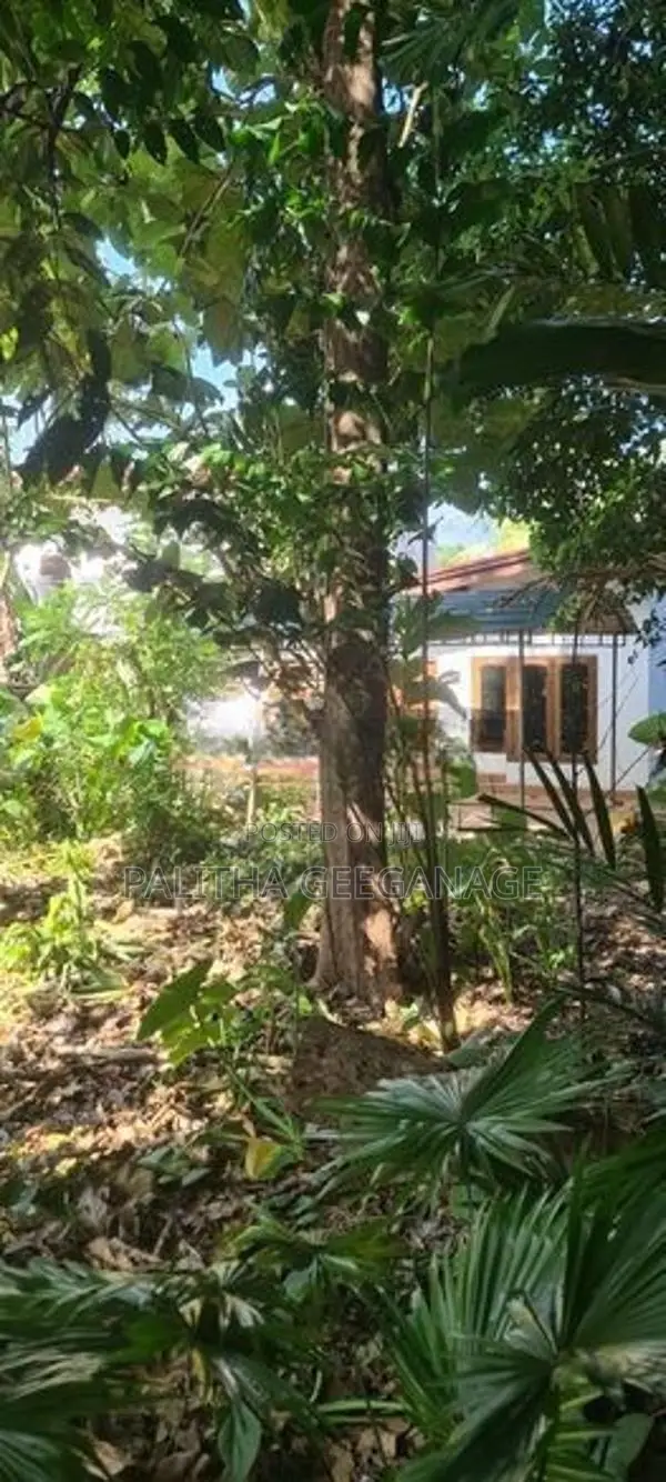 20-Perch Land - 1.4 Km from Kadawatha Highway